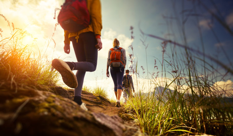 Wanderurlaub in Südtirol im Wanderhotel Feldhof