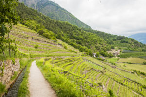 © bill_17 – stock.adobe.com