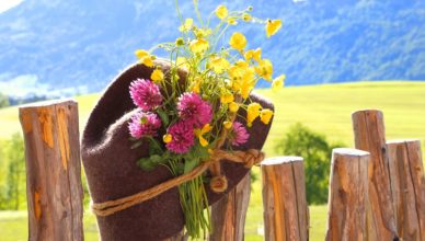 Ab auf die Alm in den Ferien in Südtirol!