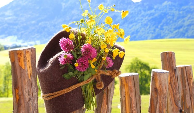 Ab auf die Alm in den Ferien in Südtirol!