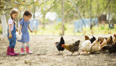 Aktivferien mit Kindern im Feldhof Naturns