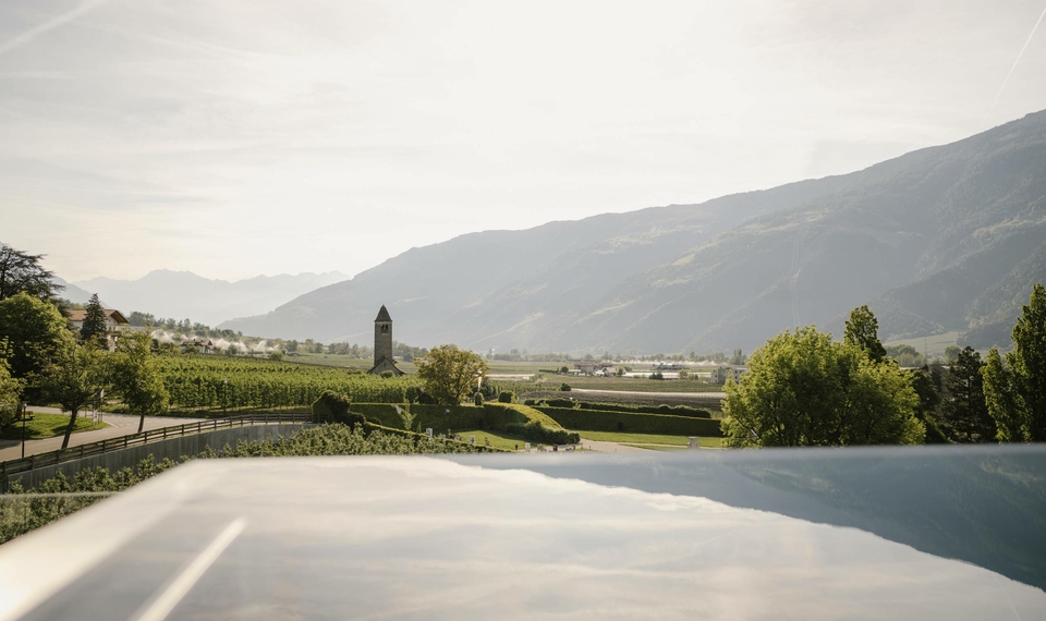 Una vista su vigneti, il campanile della chiesa e le montagne nella luce calda della sera.
