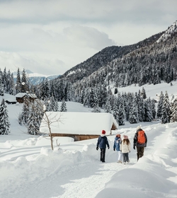 Quattro persone camminano in un paesaggio montano innevato con baite e abeti in inverno.
