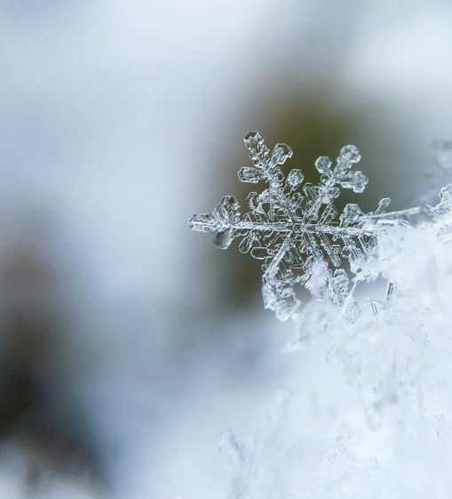 Un delicato fiocco di neve poggia sulla neve davanti a uno sfondo sfocato.
