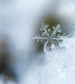 Un delicato fiocco di neve poggia sulla neve davanti a uno sfondo sfocato.