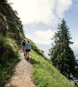 Zwei Wanderer gehen auf einem schmalen Bergpfad am sonnigen Hang entlang.