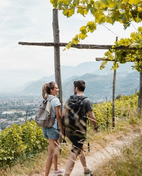 Wandern in Naturns mit Talblick Zwei Wanderer stehen auf einem Weg am Weinberg und blicken über das Tal bei Naturns.