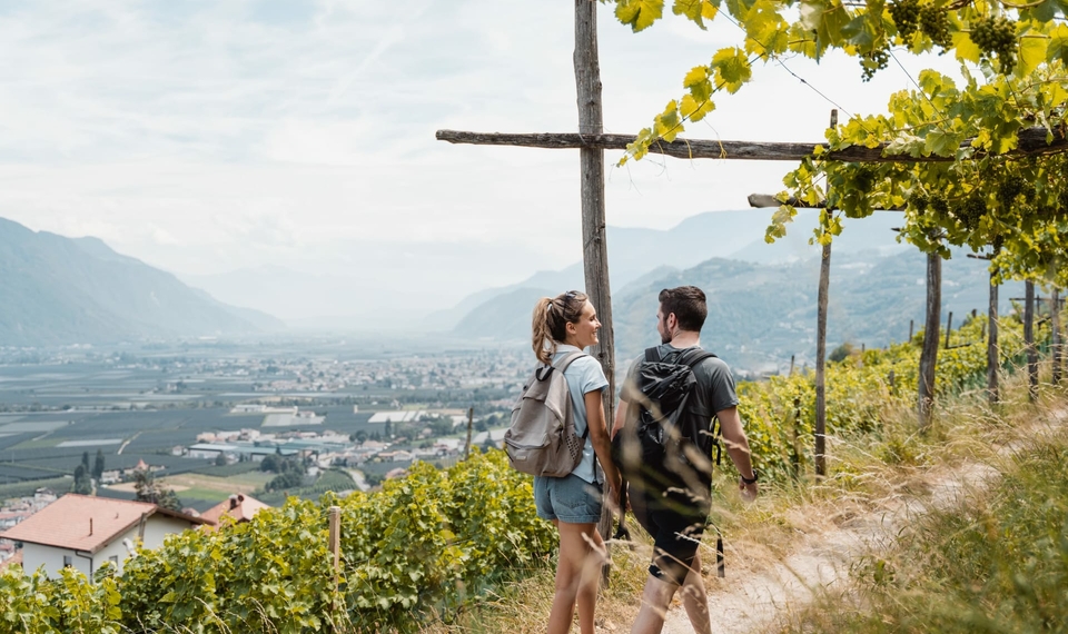 Escursione a Naturno con vista sulla valle Due escursionisti sono su un sentiero tra i vigneti e guardano la valle vicino a Naturno.