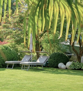 Due lettini con ombrellone sono sul prato in giardino, tra alberi e arbusti.