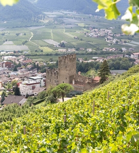 Un castello si trova sopra i vigneti con vista sulla valle e sul paese di Naturno.