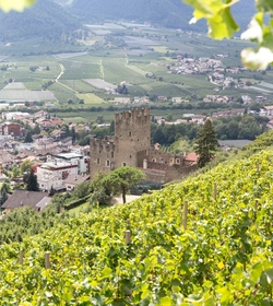 Un castello si trova sopra i vigneti con vista sulla valle e sul paese di Naturno.