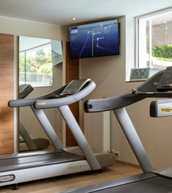 Zwei Laufbänder stehen vor einem Spiegel im Fitnessraum, darüber hängt ein Bildschirm an der Wand.