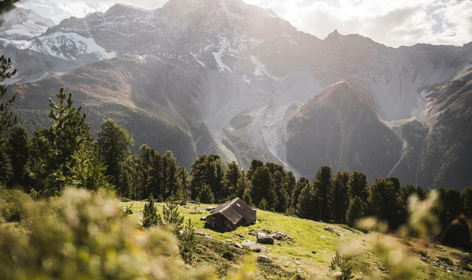 Eine Almwiese mit Hütte liegt vor einer beeindruckenden Bergkulisse in Südtirol.