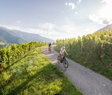 Zwei Radfahrer fahren auf einem Weg durch die Weinberge mit Blick auf die Berge.