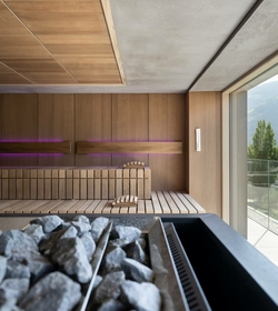 A modern sauna with wooden benches, purple lighting and a view outside through the glass front.